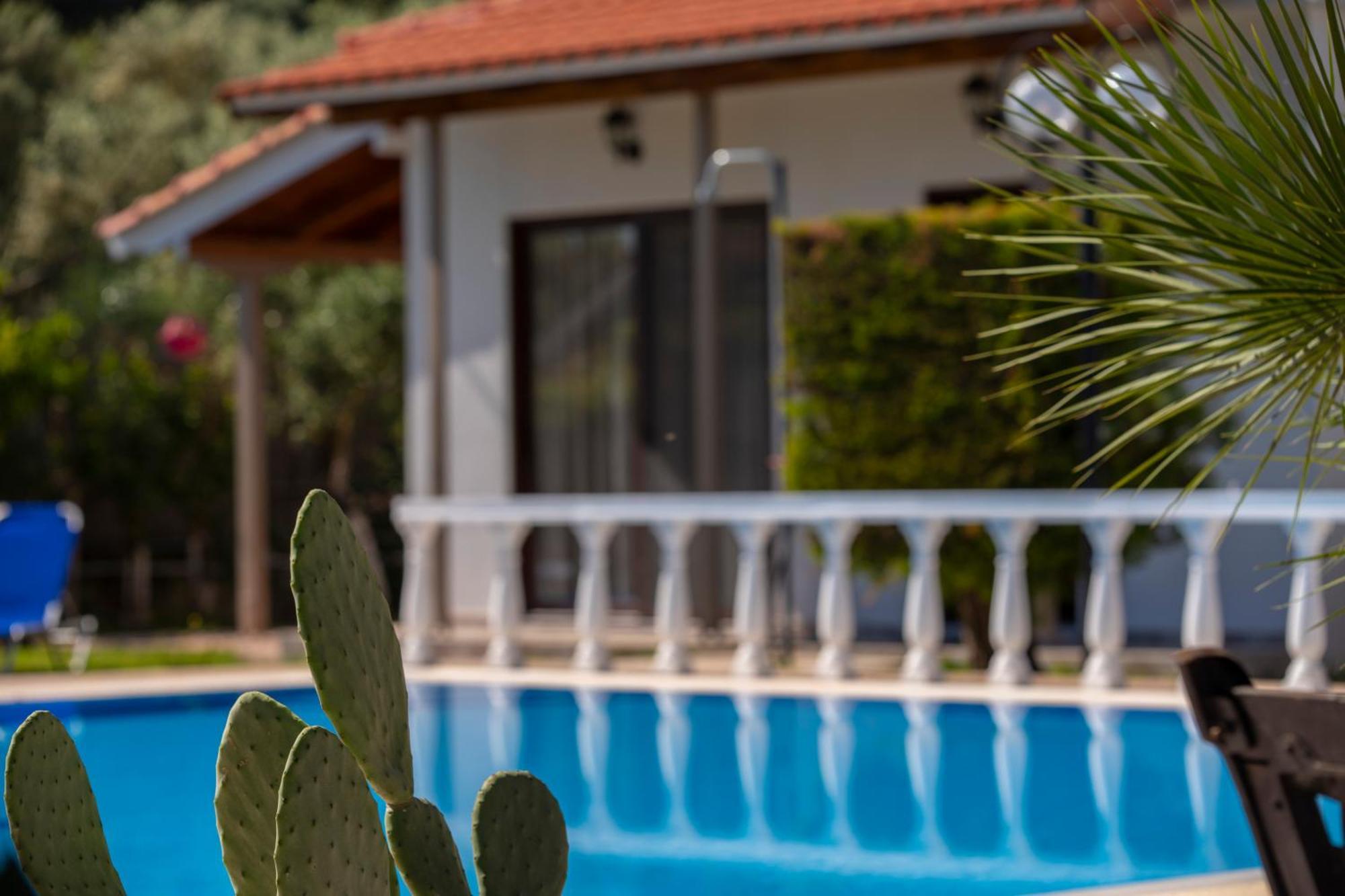 Villa Dimitris Apartments & Bungalows Frinion ภายนอก รูปภาพ